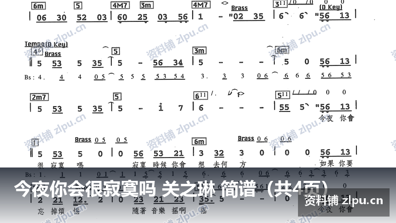 今夜你会很寂寞吗 关之琳 简谱（共4页）-资料铺