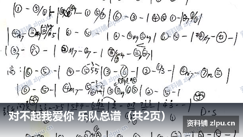 对不起我爱你 乐队总谱（共2页）-资料铺