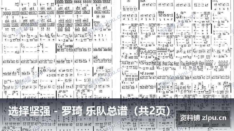 选择坚强 - 罗琦 乐队总谱（共2页）-资料铺