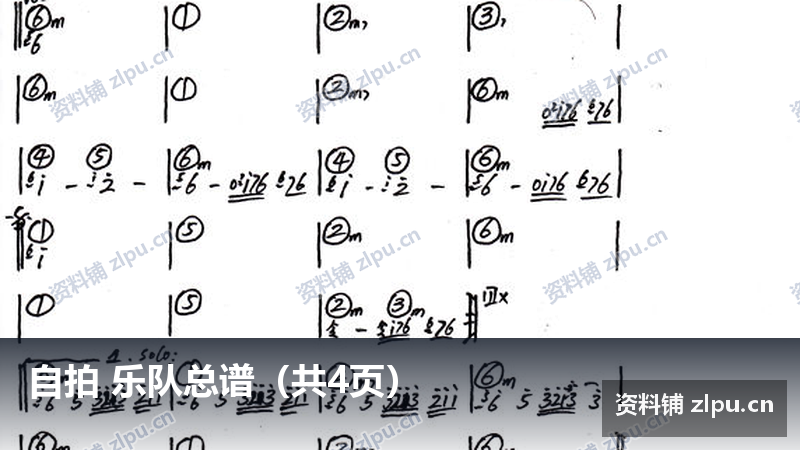 自拍 乐队总谱（共4页）-资料铺