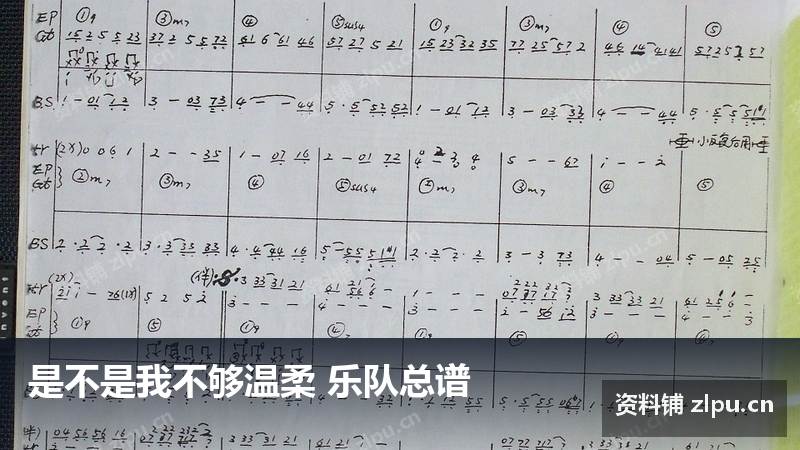 是不是我不够温柔 乐队总谱-资料铺