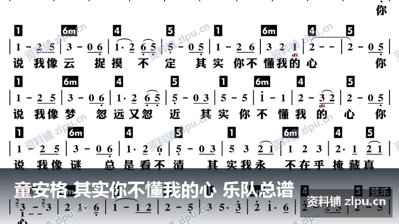 童安格 其实你不懂我的心 乐队总谱-资料铺
