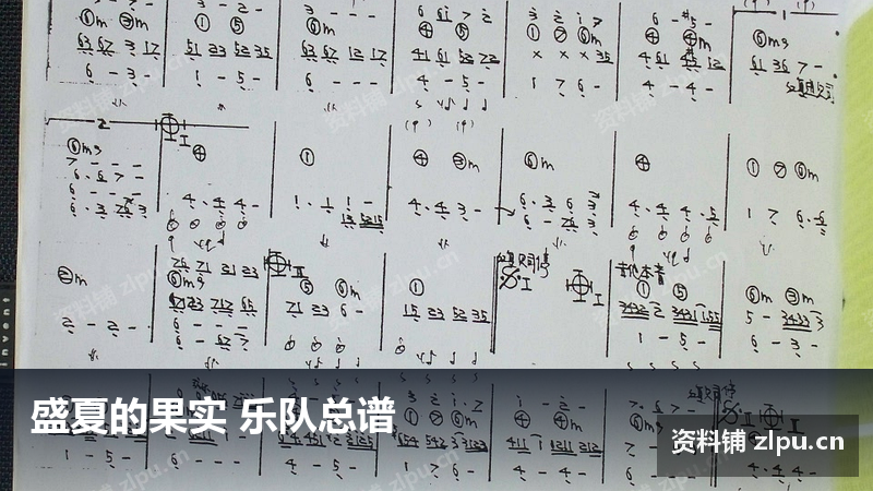 盛夏的果实 乐队总谱-资料铺