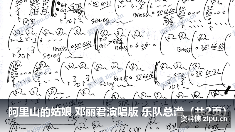 阿里山的姑娘 邓丽君演唱版 乐队总谱（共2页）-资料铺