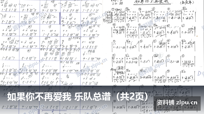 如果你不再爱我 乐队总谱（共2页）-资料铺
