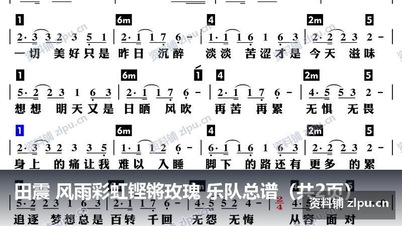 田震 风雨彩虹铿锵玫瑰 乐队总谱（共2页）-资料铺