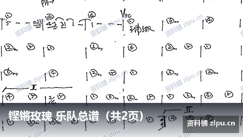 铿锵玫瑰 乐队总谱（共2页）-资料铺