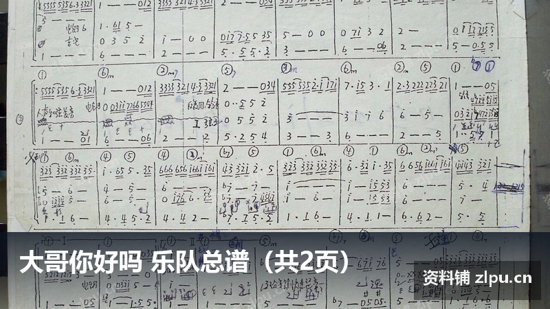 大哥你好吗 乐队总谱（共2页）-资料铺