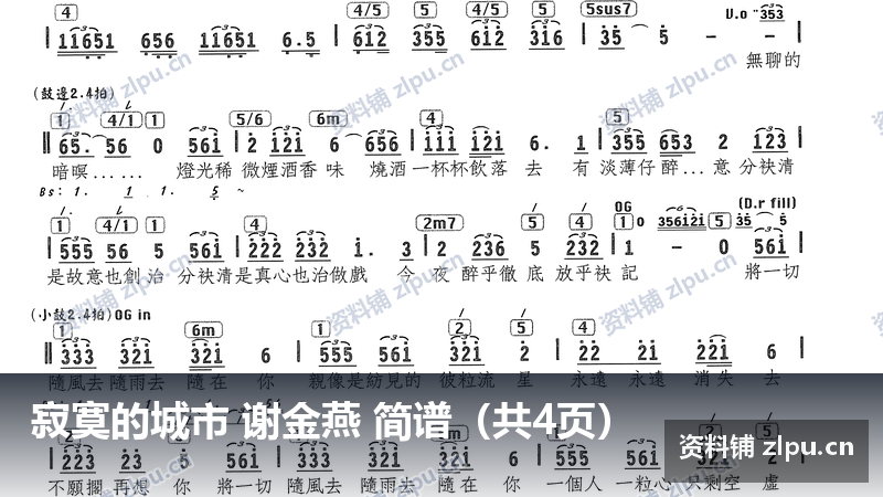 寂寞的城市 谢金燕 简谱（共4页）-资料铺