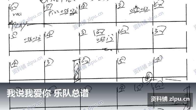 我说我爱你 乐队总谱-资料铺