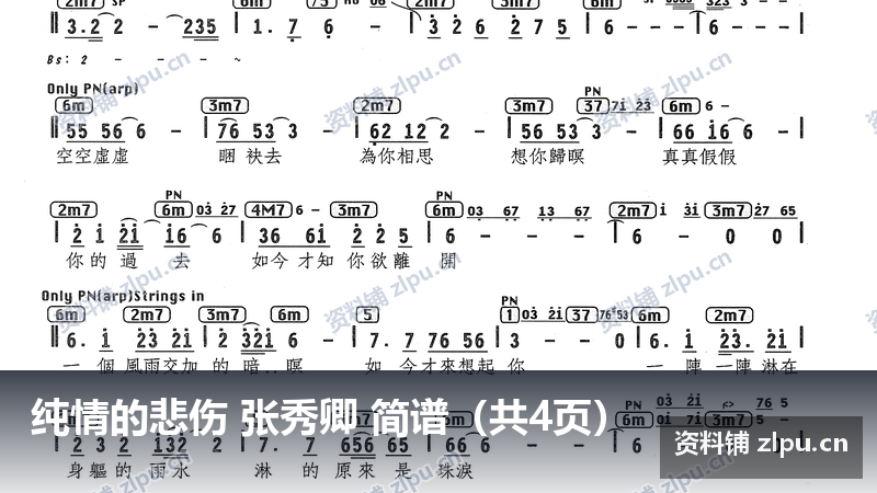 纯情的悲伤 张秀卿 简谱(共4页)-资料铺