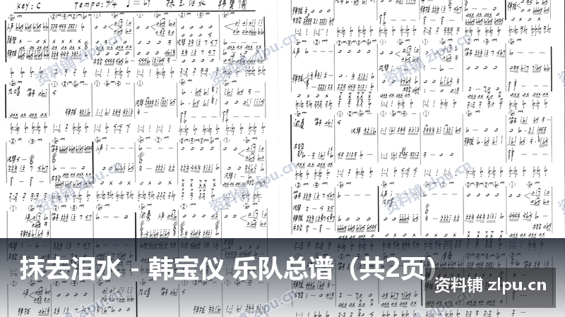 抹去泪水 - 韩宝仪 乐队总谱（共2页）-资料铺