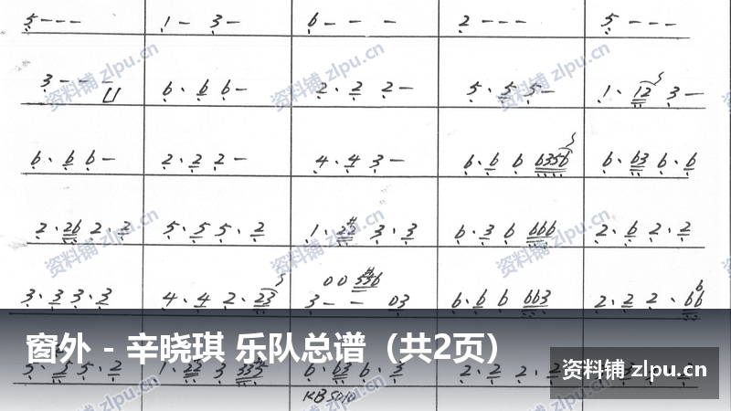 窗外 – 辛晓琪 乐队总谱(共2页)-资料铺