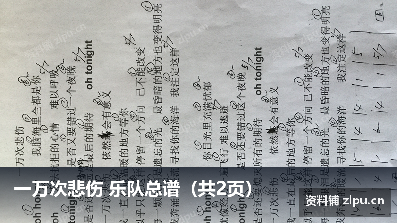 一万次悲伤 乐队总谱(共2页)-资料铺