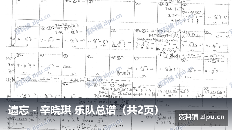 遗忘 – 辛晓琪 乐队总谱(共2页)-资料铺