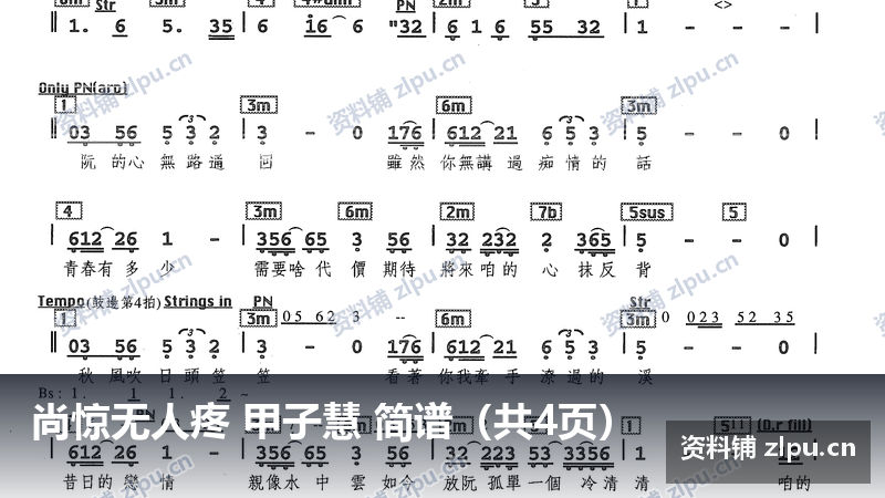 尚惊无人疼 甲子慧 简谱（共4页）-资料铺