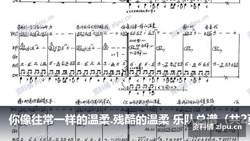 你像往常一样的温柔.残酷的温柔 乐队总谱(共2页)-资料铺