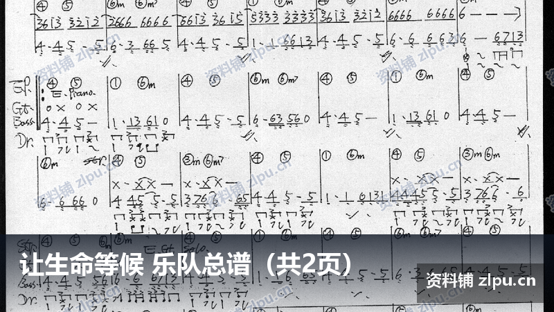 让生命等候 乐队总谱(共2页)-资料铺