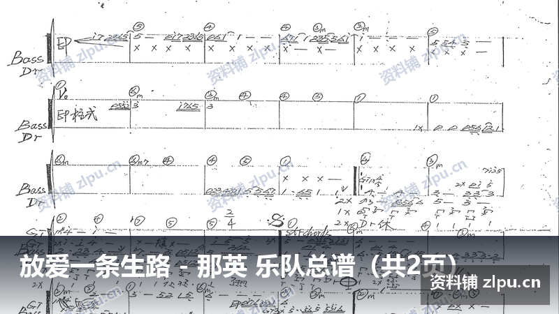 放爱一条生路 – 那英 乐队总谱(共2页)-资料铺