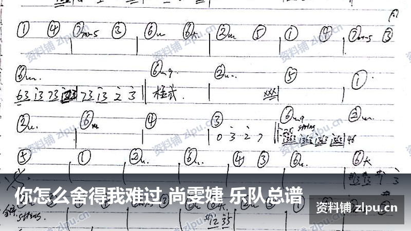 你怎么舍得我难过 尚雯婕 乐队总谱-资料铺