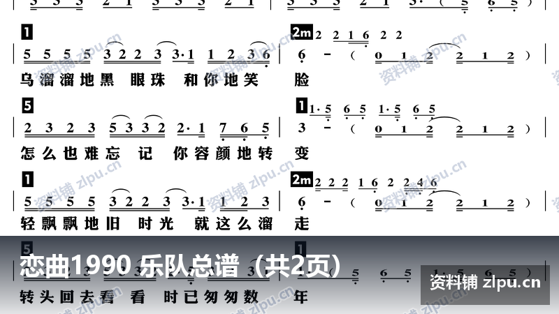恋曲1990 乐队总谱（共2页）-资料铺