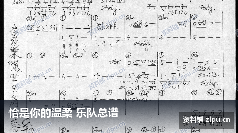 恰是你的温柔 乐队总谱-资料铺