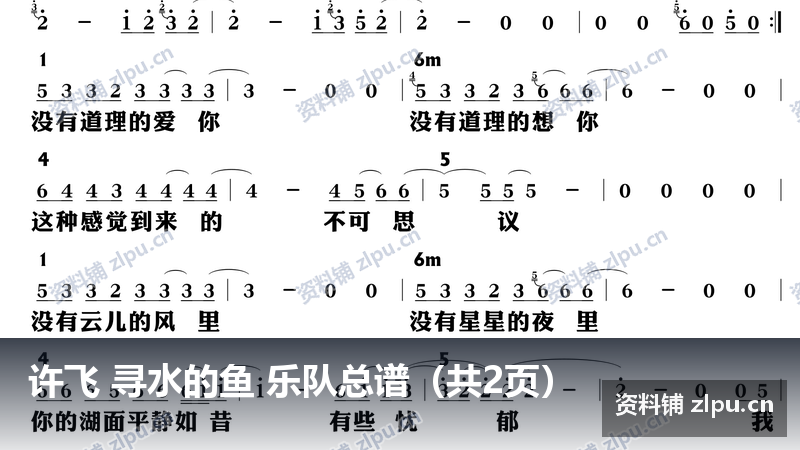 许飞 寻水的鱼 乐队总谱（共2页）-资料铺