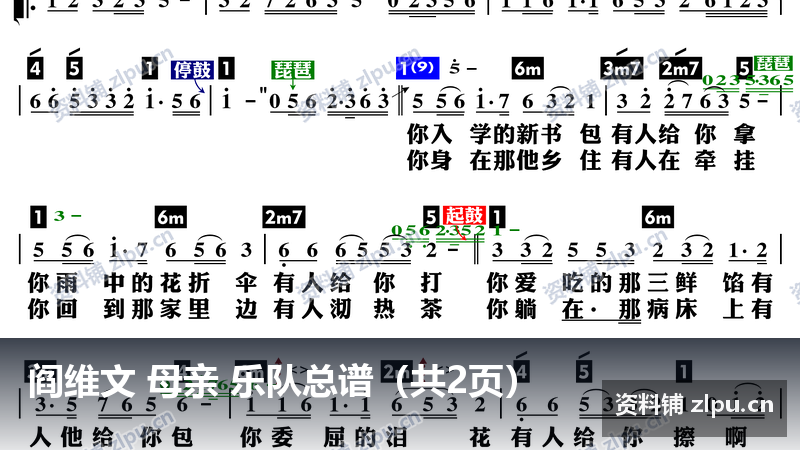 阎维文 母亲 乐队总谱（共2页）-资料铺