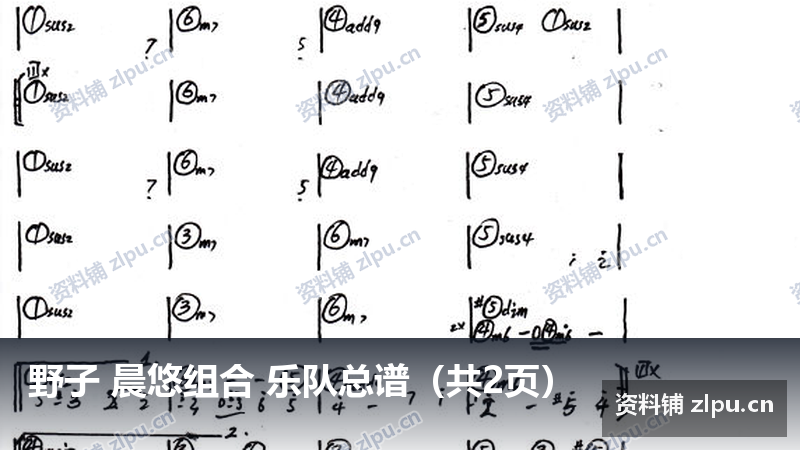 野子 晨悠组合 乐队总谱（共2页）-资料铺