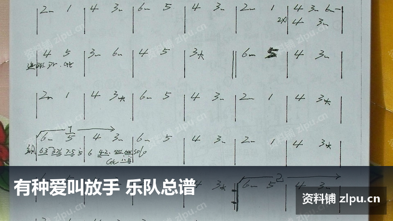 有种爱叫放手 乐队总谱-资料铺