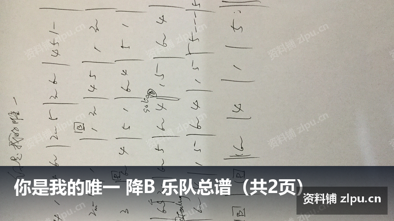 你是我的唯一 降B 乐队总谱(共2页)-资料铺