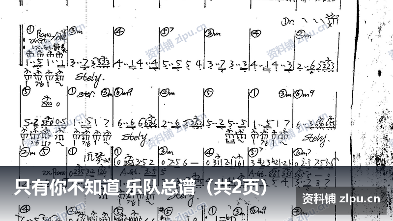 只有你不知道 乐队总谱（共2页）-资料铺