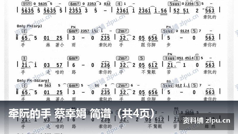 牵阮的手 蔡幸娟 简谱（共4页）-资料铺