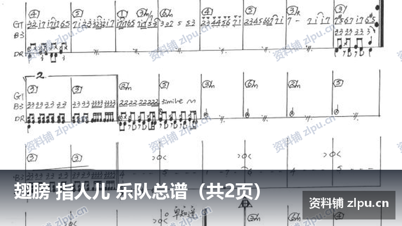 翅膀 指人儿 乐队总谱(共2页)-资料铺