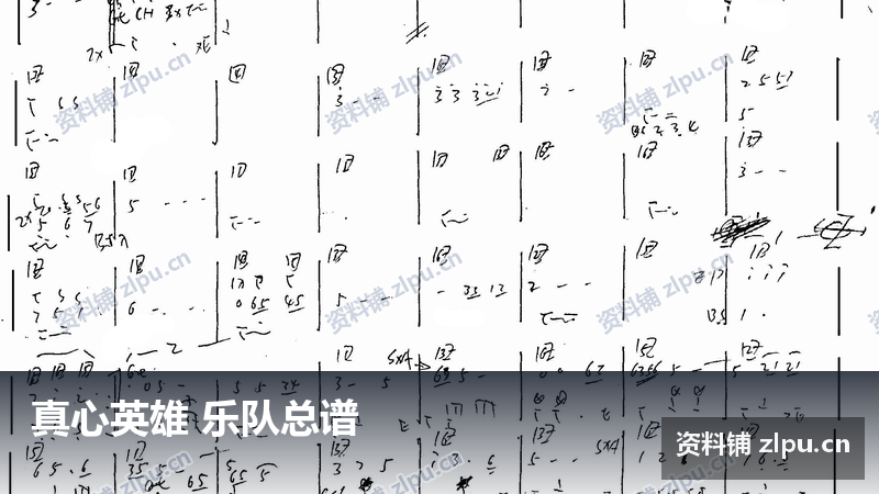 真心英雄 乐队总谱-资料铺
