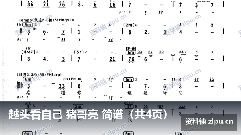 越头看自己 猪哥亮 简谱（共4页）-资料铺