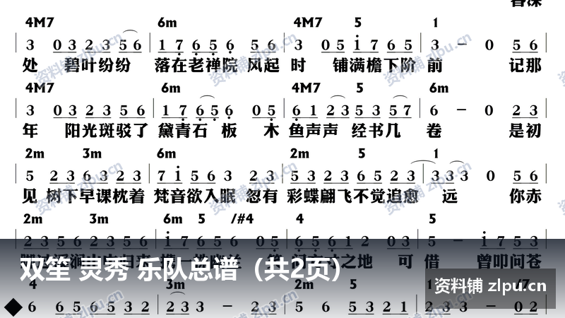 双笙 灵秀 乐队总谱（共2页）-资料铺