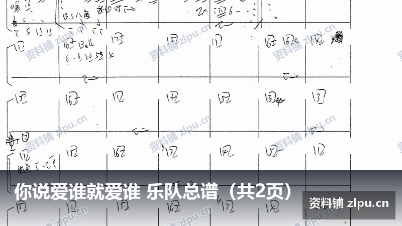 你说爱谁就爱谁 乐队总谱(共2页)-资料铺