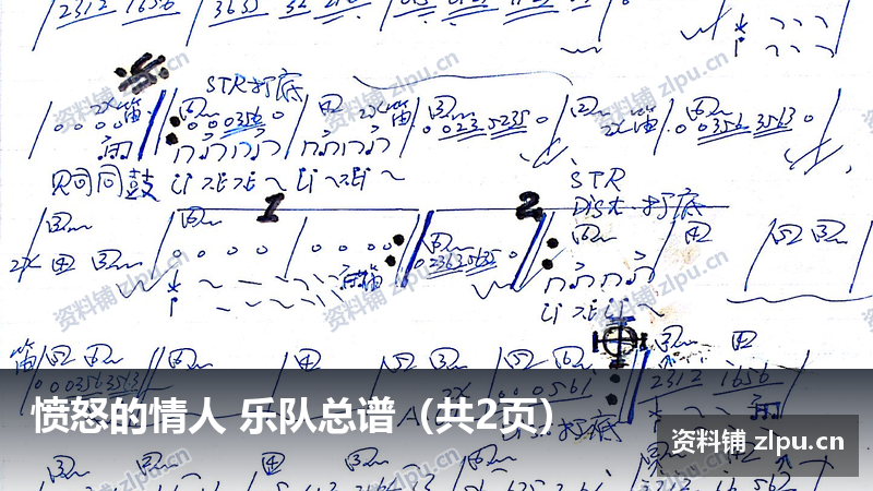 愤怒的情人 乐队总谱（共2页）-资料铺