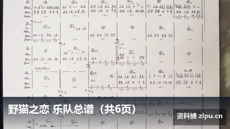 野猫之恋 乐队总谱（共6页）-资料铺