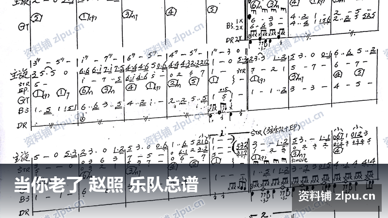 当你老了 赵照 乐队总谱-资料铺
