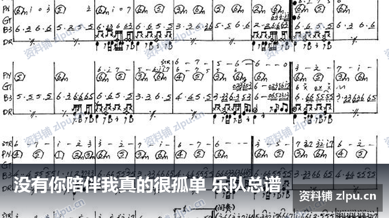 没有你陪伴我真的很孤单 乐队总谱-资料铺