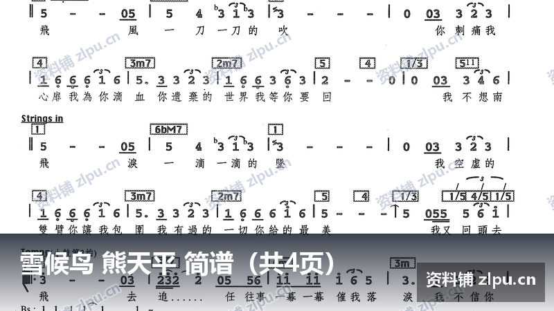 雪候鸟 熊天平 简谱（共4页）-资料铺
