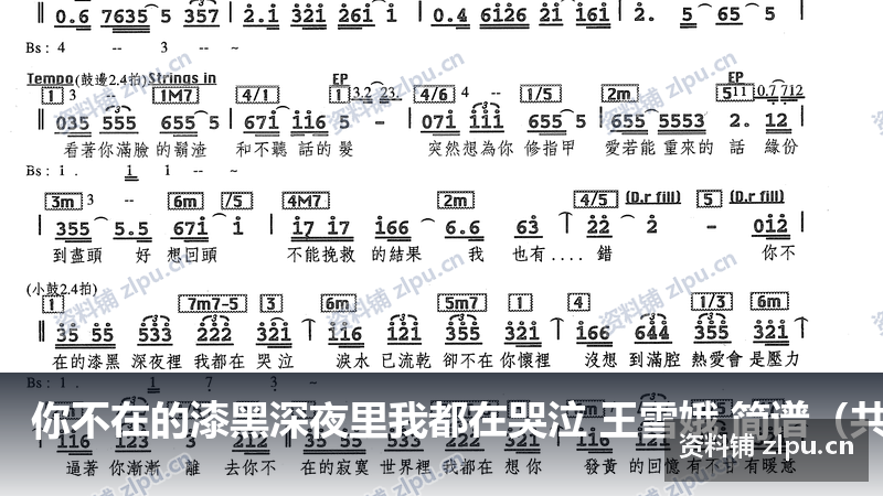 你不在的漆黑深夜里我都在哭泣 王雪娥 简谱(共4页)-资料铺