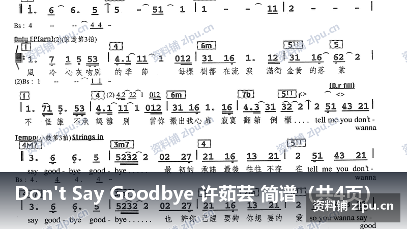 Don't Say Goodbye 许茹芸 简谱（共4页）-资料铺