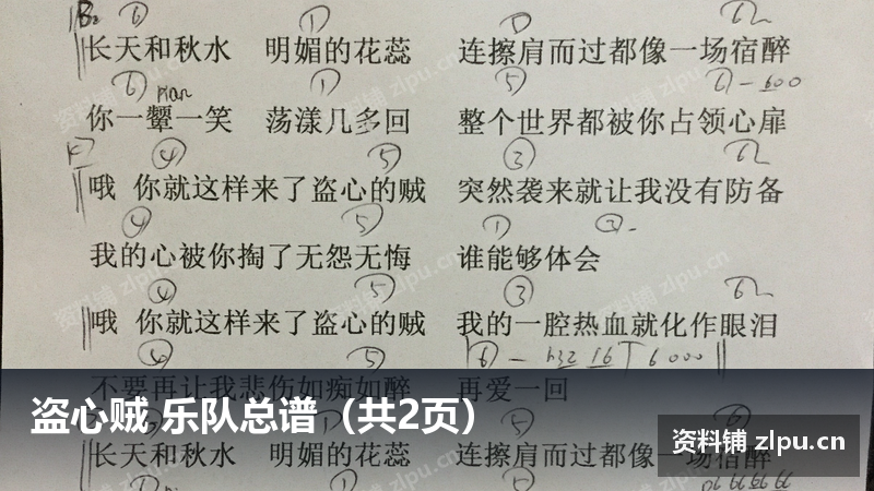 盗心贼 乐队总谱(共2页)-资料铺