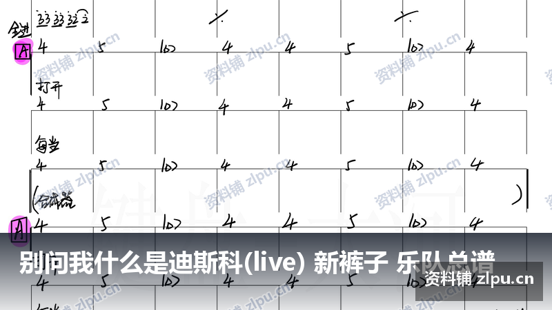 别问我什么是迪斯科(live) 新裤子 乐队总谱-资料铺