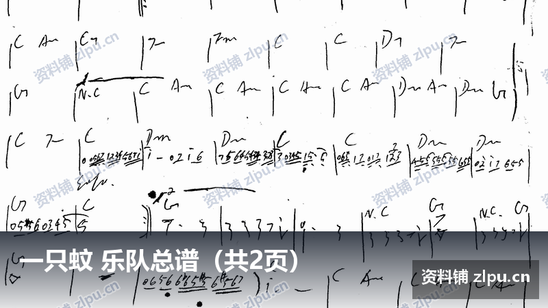 一只蚊 乐队总谱（共2页）-资料铺