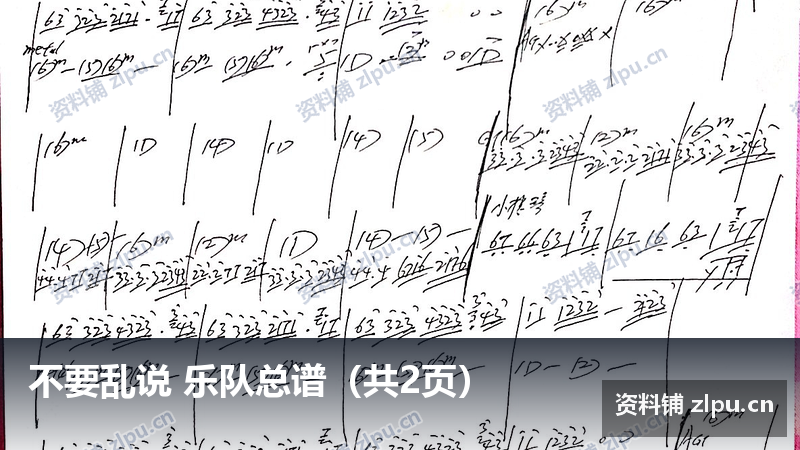 不要乱说 乐队总谱（共2页）-资料铺