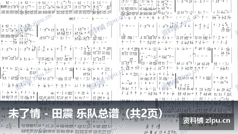 未了情 - 田震 乐队总谱（共2页）-资料铺